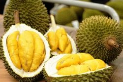 Siết kiểm tra từ gốc sầu riêng xuất khẩu sang Trung Quốc