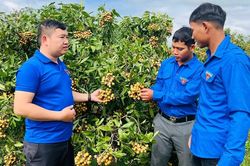 Bí thư Đoàn xã trách nhiệm, nhiệt huyết vì cộng đồng