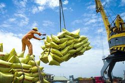 Áp lực giảm giá vẫn bao trùm thị trường gạo trong những tháng tới