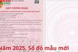 Năm 2025, Sổ đỏ mẫu mới đứng tên tối đa bao nhiêu người?