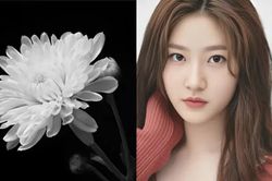Cuộc đời bi kịch của Kim Sae Ron: Gia đình tan vỡ, bạo lực học đường và cái kết đau lòng