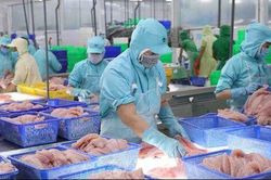 Nhiều mặt hàng thủy sản tỷ USD của Việt Nam đứng trước cơ hội lớn trong nhiệm kỳ Trump 2.0