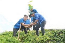 Dấu ấn màu áo xanh tình nguyện trên quê hương Đất Sen hồng