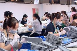 Nhiều doanh nghiệp ráo riết tìm lao động sau Tết
