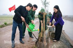 Hội Cựu chiến binh tỉnh phát động 'Tết trồng cây'
