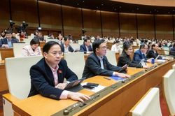 Đại đa số ĐBQH biểu quyết tán thành thông qua Luật Tổ chức Chính phủ