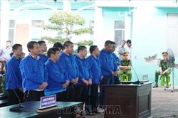 Tuyên phạt 12 bị cáo gây rối loạn hoạt động của phương tiện điện tử