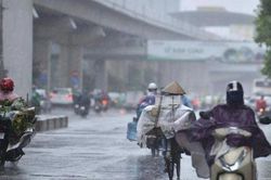 Thời tiết Thanh Hóa, Hà Tĩnh ngày 20/2: Nhiều mây, có mưa nhỏ
