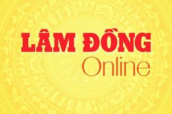 Toàn tỉnh nhập khẩu gần 37,8 triệu cây, củ, ngọn, hạt giống hoa