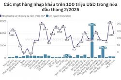 Kim ngạch nhập khẩu nửa đầu tháng 2/2025 tăng tới 80%