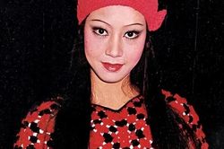 Nguyên Thu: 'Đả nữ' lẫy lừng đồng hành cùng Thành Long, Hồng Kim Bảo, Châu Tinh Trì
