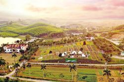 Thời tiết Nghệ An ngày 22/2: Trời rét, mưa nhỏ rải rác