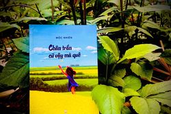 Những thao thức gửi về ký ức…