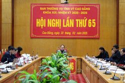 Hội nghị Ban Thường vụ Tỉnh ủy lần thứ 65