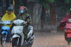 Không khí lạnh tăng cường và rét tại Nghệ An