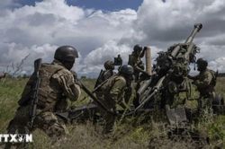 'Con đường đến với hòa bình ở Ukraine phải đi từng bước nhỏ'