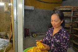 Tìm lại 'thời hoàng kim' của nghề trồng dâu nuôi tằm ven sông Lam