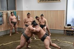 Một ngày bình thường của võ sỹ Sumo diễn ra như thế nào?