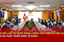Sửa đổi Luật Sử dụng năng lượng tiết kiệm và hiệu quả tạo đà phát triển nền kinh tế xanh