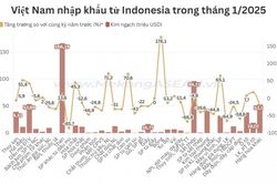 Việt Nam nhập siêu hơn 250 triệu USD từ Indonesia trong tháng 1/2025