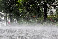Dự báo thời tiết Nghệ An ngày 25/2: Đêm và sáng trời rét, nguy cơ có dông