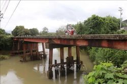 Người dân lo lắng vì những cây cầu không lan can ở Tỉnh lộ 8