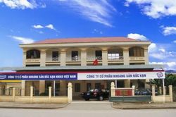 Cổ phiếu tăng trần nhiều phiên liên tục, lãnh đạo một công ty khoáng sản phải giải trình 2 lần