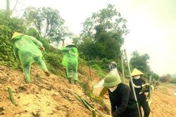 Thời tiết Thanh Hóa, Hà Tĩnh ngày 26/2: Có mưa dông, trời rét