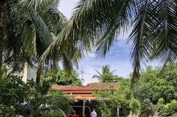 Huyện Nghi Lộc đề nghị UBND tỉnh Nghệ An thu hồi khu đất vàng 'bỏ quên' bên đại lộ Bình Minh