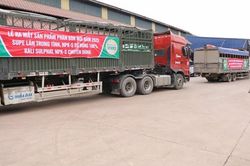 Lãnh đạo Supe Lâm Thao giải trình biến động lợi nhuận