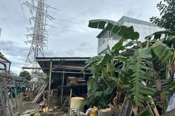 Bảo đảm an toàn hành lang lưới điện
