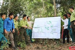 Mai Sơn phòng cháy, chữa cháy rừng