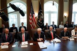 TT Trump hỏi nội các: Có ai không hài lòng với Elon không?