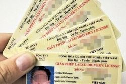 Hướng dẫn chi tiết LÀM THỦ TỤC TRỰC TIẾP ĐỔI, CẤP LẠI GIẤY PHÉP LÁI XE