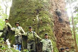 Bộ Nông nghiệp và Phát triển nông thôn triển khai dự án hơn 4 triệu USD tại Nghệ An