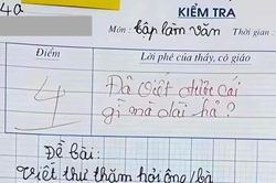 Bài văn hỏi thăm ông bà đạt 4 điểm, cô giáo lộ rõ sự bất lực khi chấm bài