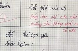 Học trò làm bài văn tả con gà, cô giáo chấm 4 điểm rồi vội đính chính một chi tiết
