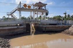 Bến Tre ưu tiên phát triển nông nghiệp xanh, thích ứng với hạn mặn