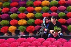 Làng hương Quảng Phú Cầu ngày càng hút khách du lịch