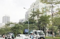 Bắc Bộ hửng nắng ấm về trưa và chiều