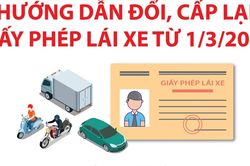 Bộ Công an hướng dẫn đổi, cấp lại giấy phép lái xe từ 1/3/2025