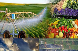 Chức năng, nhiệm vụ, quyền hạn và cơ cấu tổ chức của Bộ Nông nghiệp và Môi trường