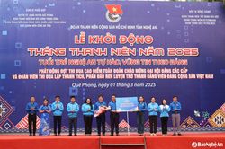 Lần đầu tiên Nghệ An ra mắt đội hình 'Bình dân học vụ số'