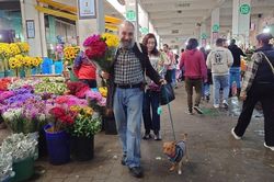 Rực rỡ thiên đường hoa trong tiết trời Xuân giữa lòng Mexico City