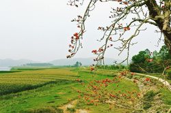 Thời tiết Nghệ An ngày 2/3: Sáng sớm có sương mù, ngày trời nắng