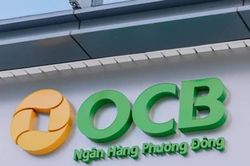Thanh tra ngân hàng chỉ loạt tồn tại, vi phạm tại ngân hàng OCB Bình Dương