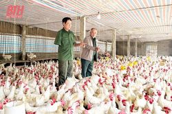 Lan tỏa phong trào 'Cựu chiến binh gương mẫu' ở Hoằng Đức