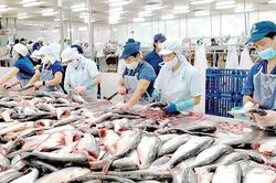 Xuất khẩu cá tra trước cơ hội từ thị trường mới