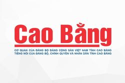 Dự báo thời tiết đêm 2 ngày 3/3