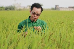 AHLĐ Trần Mạnh Báo: Tôi từng bị kiện vì dám chi tiền đưa cán bộ đi học về nghiên cứu giống